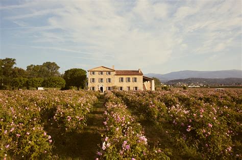 We Visited Chanel’s Dreamy Rose Fields in Grasse 